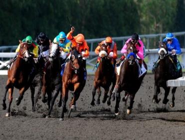 Timeform's US team have picked out three bets